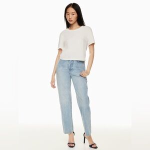 Aritzia Denim Forum The Joni High Rise Loose Jean